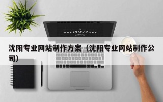 枝江沈阳专业网站制作方案（沈阳专业网站制作公司）